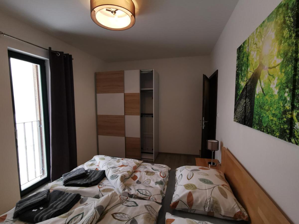 Apartman 5 Klinovec Loucna pod Klinovcem Exterior photo